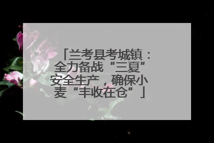 兰考县考城镇：全力备战“三夏”安全生产，确保小麦“丰收在仓”