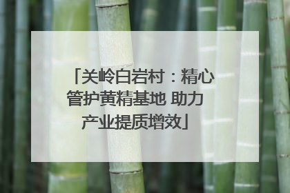 关岭白岩村：精心管护黄精基地 助力产业提质增效