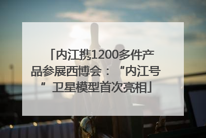 内江携1200多件产品参展西博会：“内江号”卫星模型首次亮相