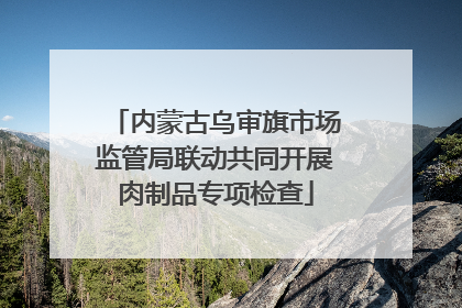 内蒙古乌审旗市场监管局联动共同开展肉制品专项检查