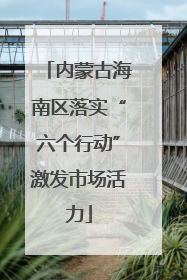 内蒙古海南区落实“六个行动”激发市场活力