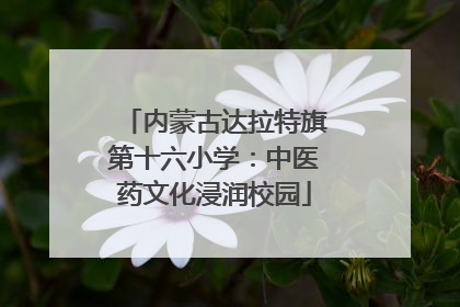 内蒙古达拉特旗第十六小学：中医药文化浸润校园