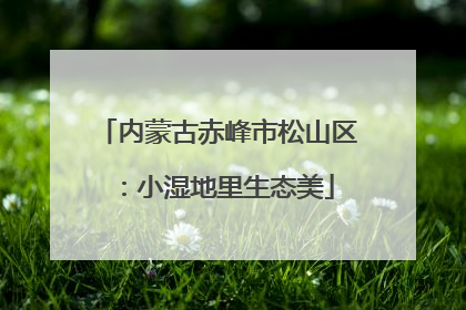 内蒙古赤峰市松山区：小湿地里生态美