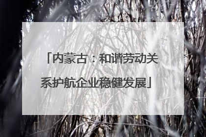 内蒙古：和谐劳动关系护航企业稳健发展