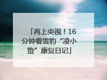 再上央视！16分钟看雪豹“凌小蛰”康复日记