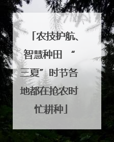 农技护航、智慧种田 “三夏”时节各地都在抢农时 忙耕种