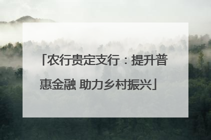 农行贵定支行：提升普惠金融 助力乡村振兴