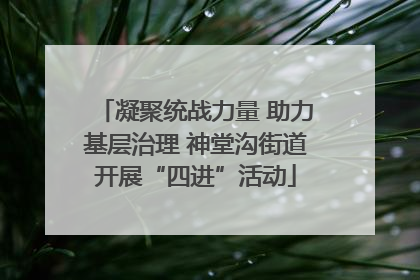 凝聚统战力量 助力基层治理 神堂沟街道开展“四进”活动