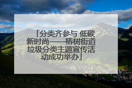 分类齐参与 低碳新时尚——椿树街道垃圾分类主题宣传活动成功举办