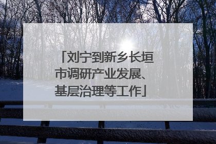 刘宁到新乡长垣市调研产业发展、基层治理等工作