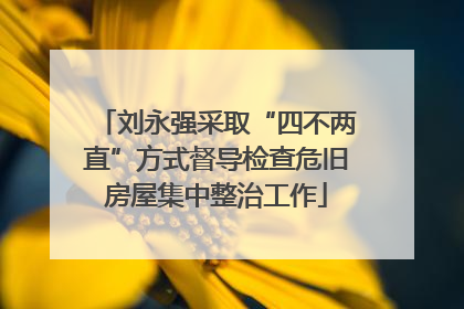 刘永强采取“四不两直”方式督导检查危旧房屋集中整治工作