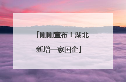 刚刚宣布！湖北新增一家国企
