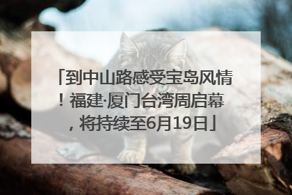 到中山路感受宝岛风情！福建·厦门台湾周启幕，将持续至6月19日