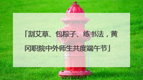 割艾草、包粽子、练书法，黄冈职院中外师生共度端午节