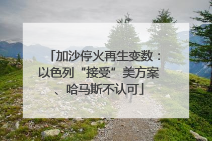 加沙停火再生变数：以色列“接受”美方案、哈马斯不认可