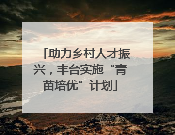 助力乡村人才振兴，丰台实施“青苗培优”计划