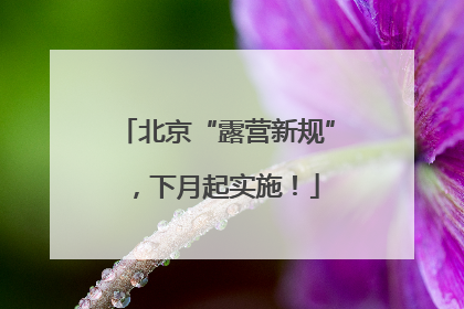 北京“露营新规”，下月起实施！