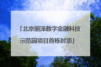 北京丽泽数字金融科技示范园项目首栋封顶