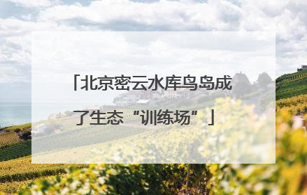 北京密云水库鸟岛成了生态“训练场”