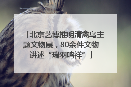 北京艺博推明清禽鸟主题文物展，80余件文物讲述“瑞羽鸣祥”