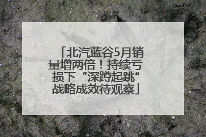 北汽蓝谷5月销量增两倍！持续亏损下“深蹲起跳”战略成效待观察