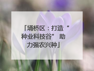 埇桥区：打造“种业科技谷” 助力强农兴种