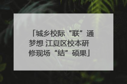 城乡校际“联”通梦想 江夏区校本研修现场“结”硕果