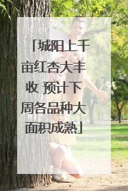 城阳上千亩红杏大丰收 预计下周各品种大面积成熟