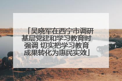 吴晓军在西宁市调研基层党建和学习教育时强调 切实把学习教育成果转化为惠民实效