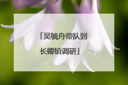 吴毓舟带队到长卿镇调研