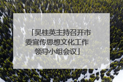 吴桂英主持召开市委宣传思想文化工作领导小组会议