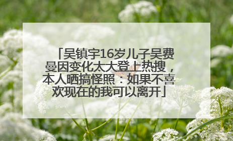 吴镇宇16岁儿子吴费曼因变化太大登上热搜，本人晒搞怪照：如果不喜欢现在的我可以离开