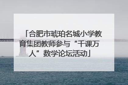 合肥市琥珀名城小学教育集团教师参与“千课万人”数学论坛活动