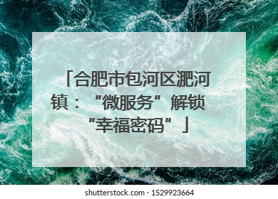 合肥市包河区淝河镇：“微服务”解锁“幸福密码”