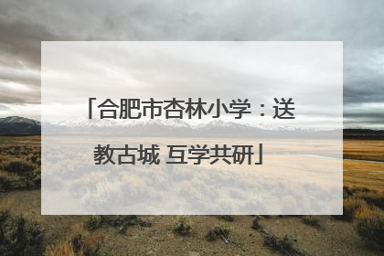 合肥市杏林小学：送教古城 互学共研