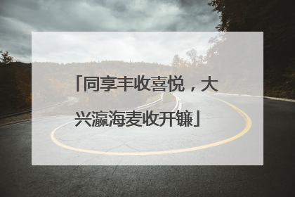 同享丰收喜悦，大兴瀛海麦收开镰