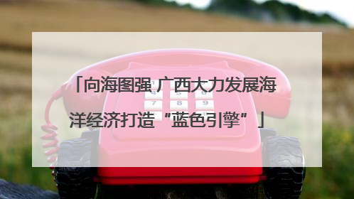 向海图强 广西大力发展海洋经济打造“蓝色引擎”