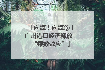 向海！向海③丨广州港口经济释放“乘数效应”