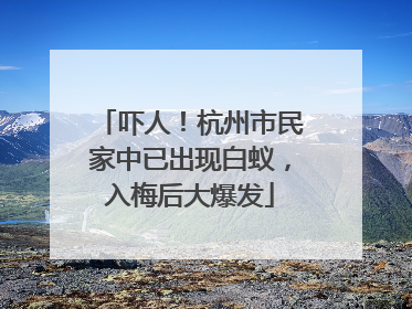 吓人！杭州市民家中已出现白蚁，入梅后大爆发