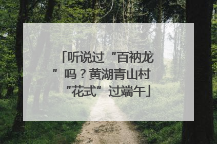 听说过“百衲龙”吗？黄湖青山村“花式”过端午