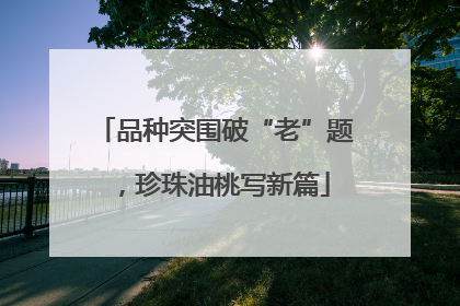 品种突围破“老”题，珍珠油桃写新篇