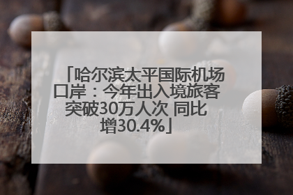 哈尔滨太平国际机场口岸：今年出入境旅客突破30万人次 同比增30.4%