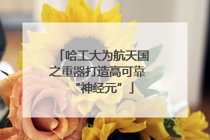 哈工大为航天国之重器打造高可靠“神经元”