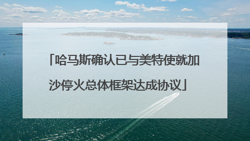哈马斯确认已与美特使就加沙停火总体框架达成协议