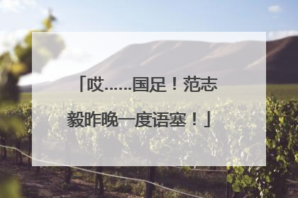 哎……国足！范志毅昨晚一度语塞！