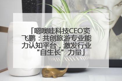 嗯噢哇科技CEO窦飞鹏：共创旅游专业能力认知平台，激发行业“自生长”力量