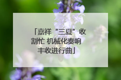嘉祥“三夏”收割忙 机械化奏响丰收进行曲