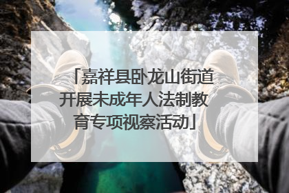 嘉祥县卧龙山街道开展未成年人法制教育专项视察活动