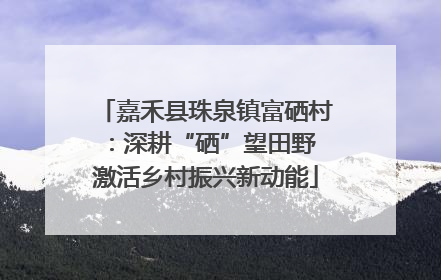 嘉禾县珠泉镇富硒村：深耕“硒”望田野 激活乡村振兴新动能