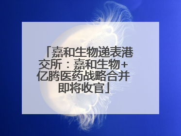 嘉和生物递表港交所：嘉和生物+亿腾医药战略合并即将收官